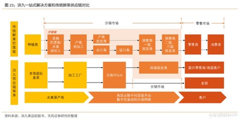 新股前瞻 | 沖擊港交所“鮮果品牌第一股”，洪九果品駛入增長快車道